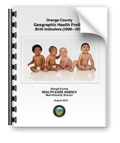 Geographic Health Profile: Birth Indicators (2000—2010)