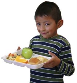 little boy with a healthy school lunch