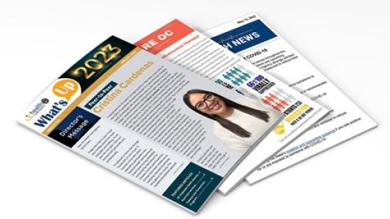 Three Single Page Newsletters