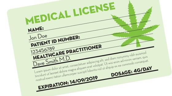 Marijuana ID Card