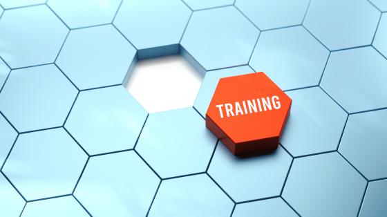 white hexagon tiles with an orange tile titled with "Training"