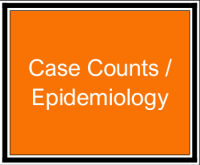 Case Counts / Epidemiology